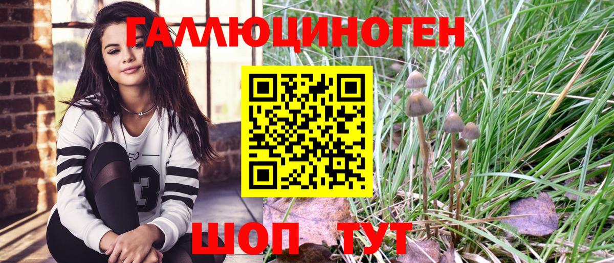 Псилоцибиновые грибы GOLDEN TEACHER Сегежа
