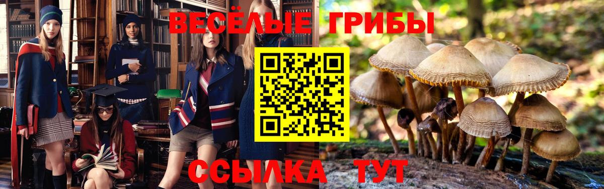 Псилоцибиновые грибы прущие грибы  Галлюциногенные грибы Magic Shrooms  Сегежа  Вход с VPN 